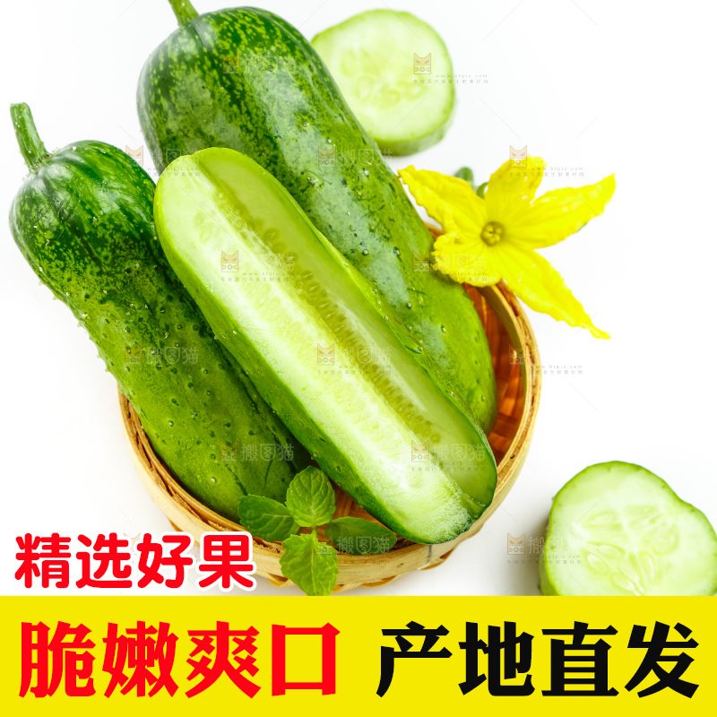 篮子里的刺黄瓜