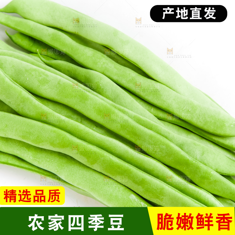 白底上放着新鲜四季豆