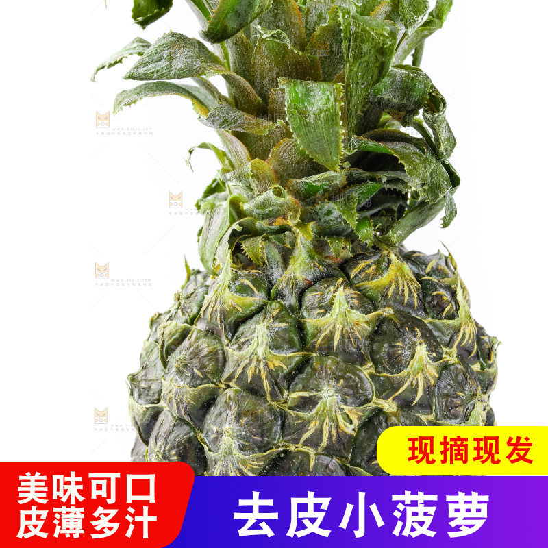 白底上的泰国迷你小菠萝