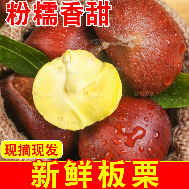 深底上的迁西板栗