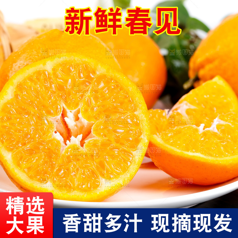 黑石板上的春见耙耙柑