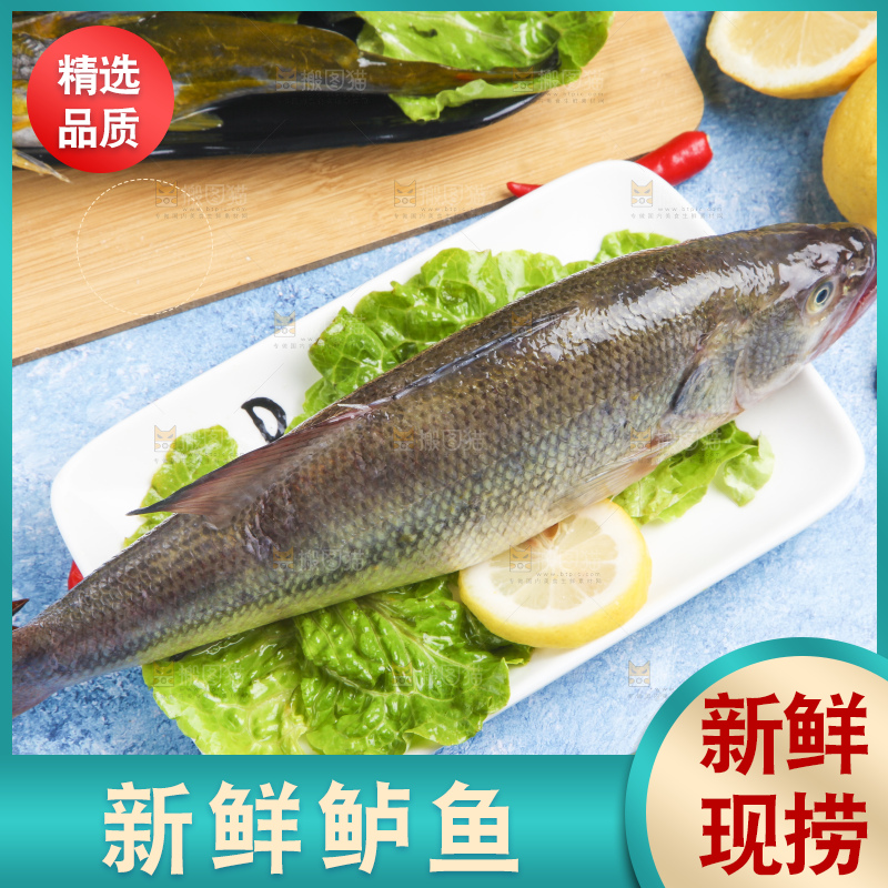 盘子里装着鲈鱼