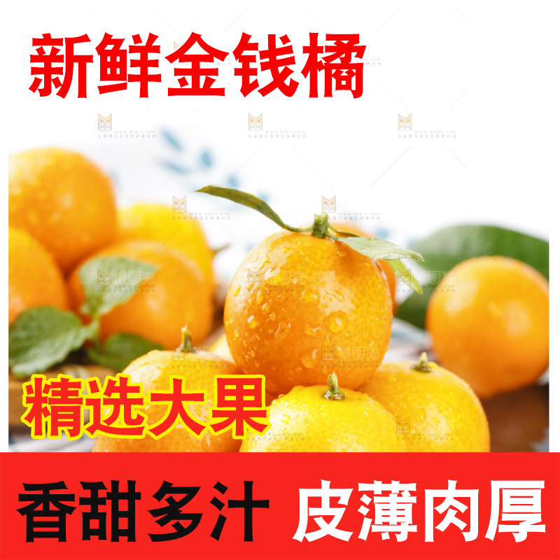 黑石板上的广西金钱橘