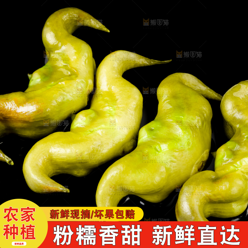 黑底上的菱角