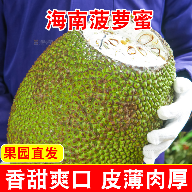 浅底上的泰国红心菠萝蜜