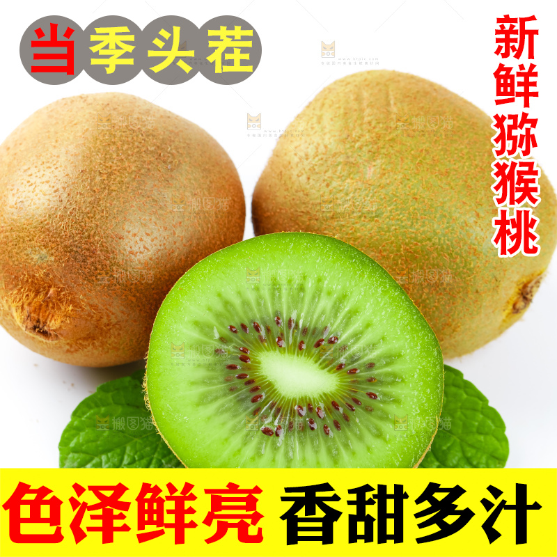 白底上的陕西猕猴桃