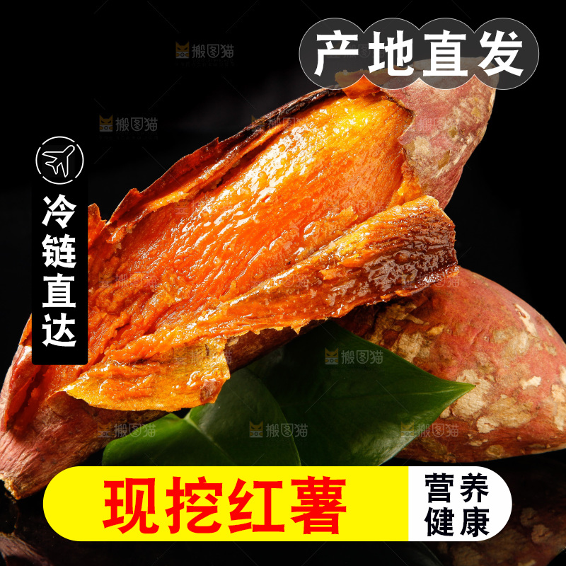 黑底上的烟薯25号