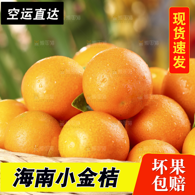 篮子里装着金钱桔