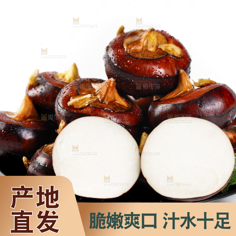 白底上放着广西马蹄