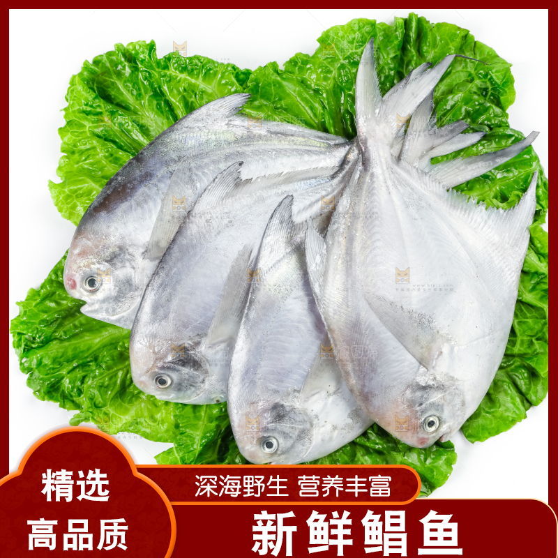 白底上放着银鲳鱼