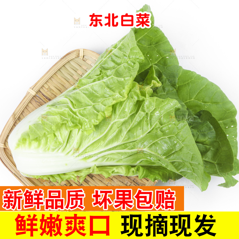 篮子里装着白菜
