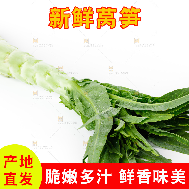 白底上放着莴笋