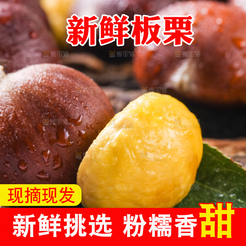 木底上的毛栗子