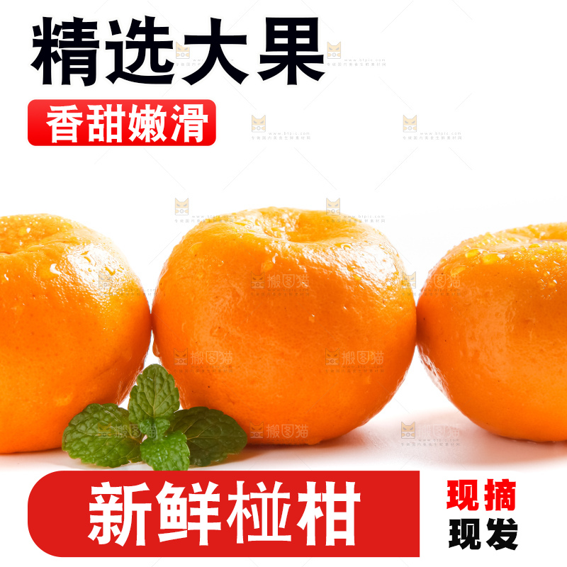 白底上摆放着椪柑橘