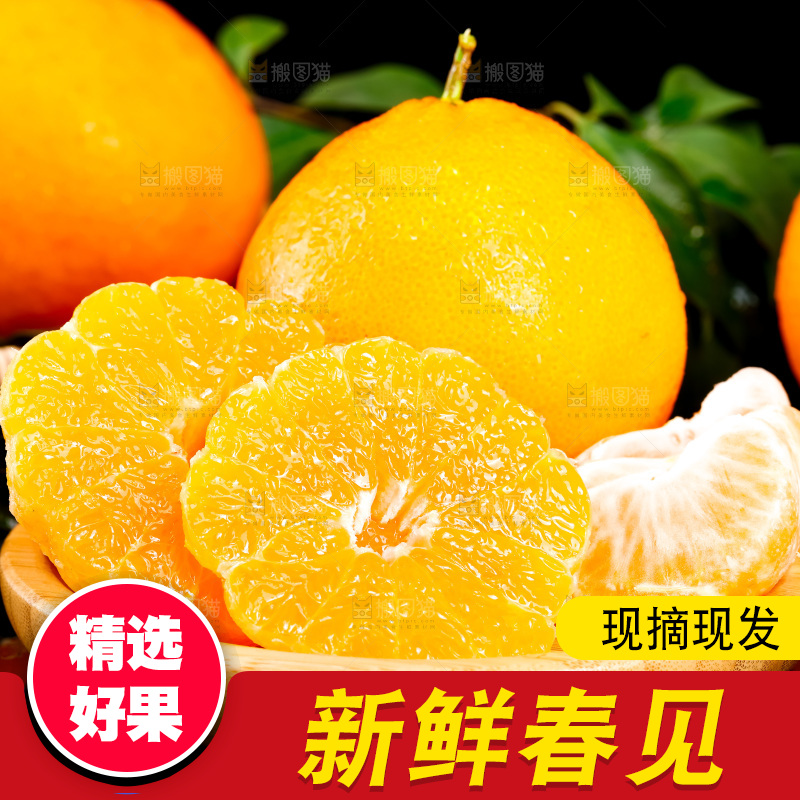 深底上的春见柑桔