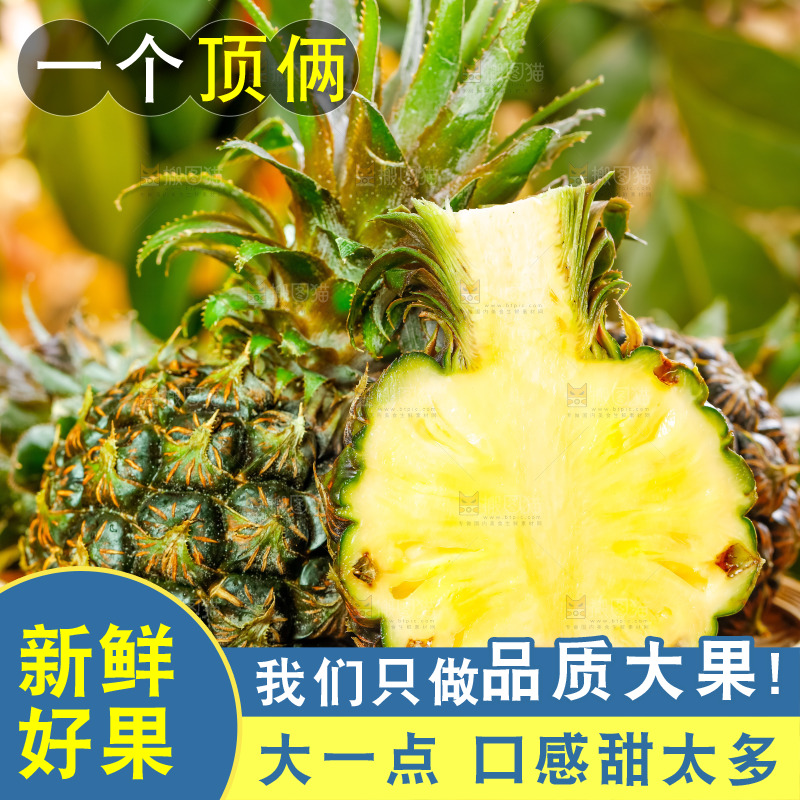 篮子里的新鲜小菠萝