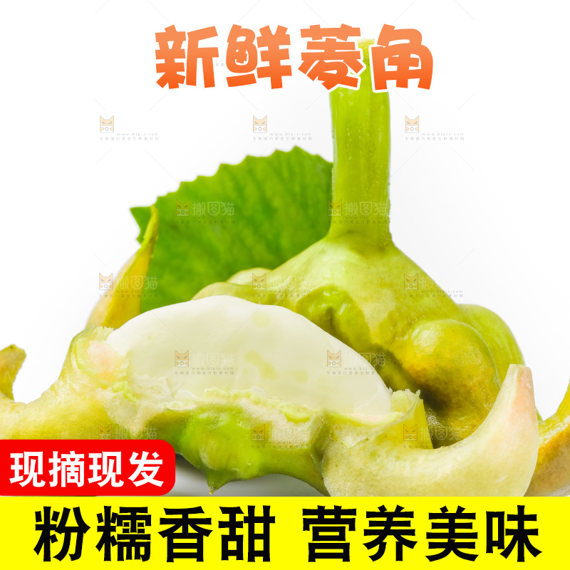 浅底上的新鲜菱角
