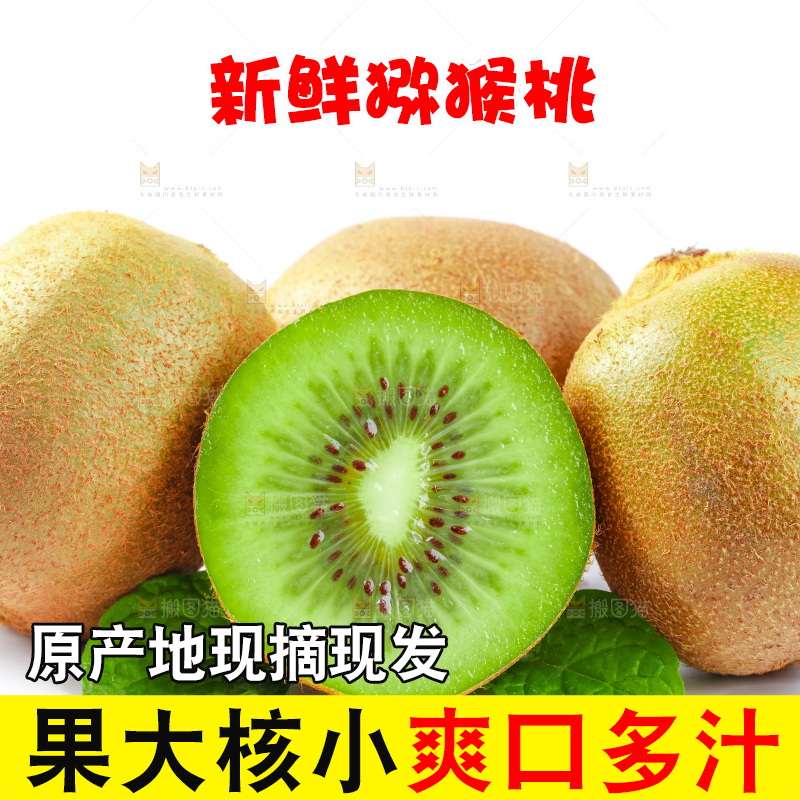 白底上的陕西猕猴桃