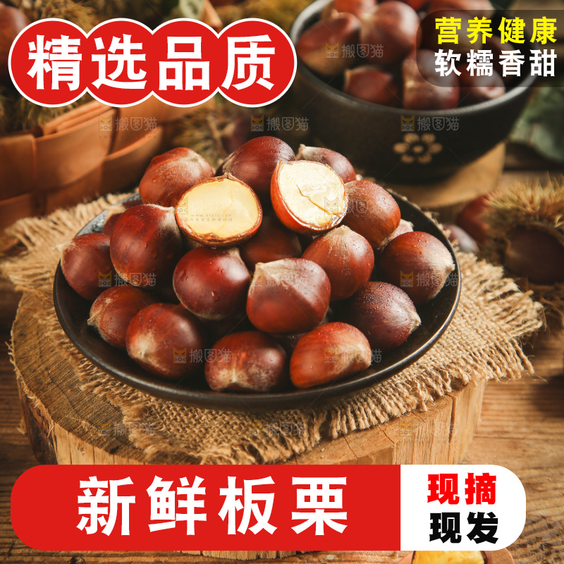 木底上放着迁西板栗
