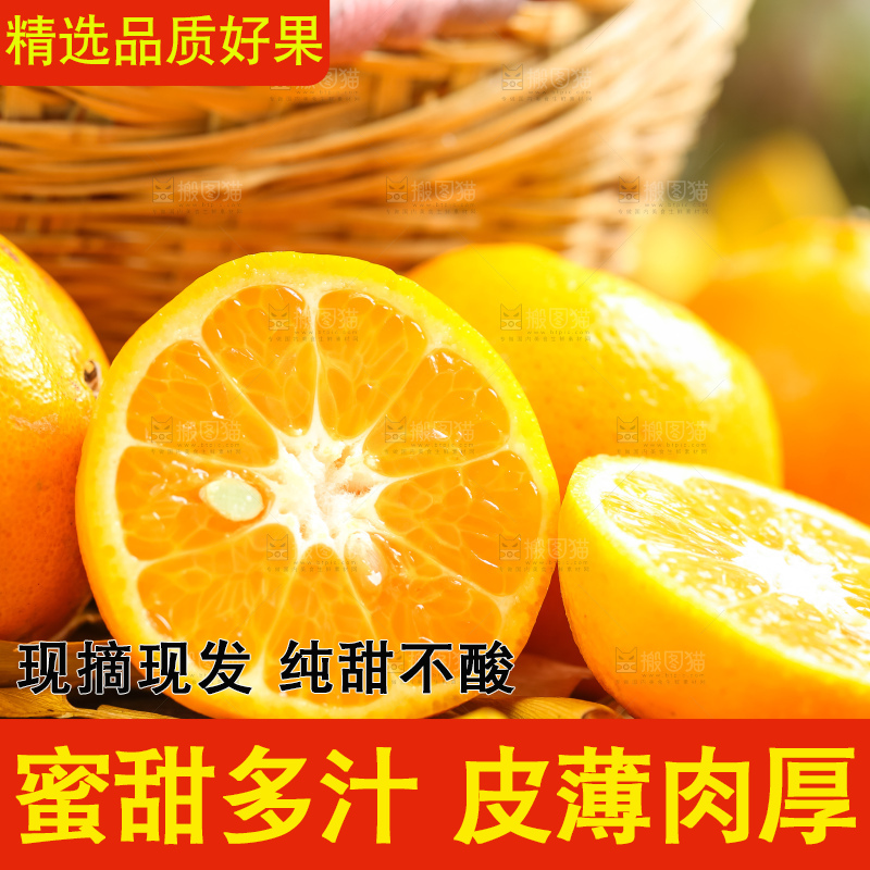 黄底上的椪柑橘