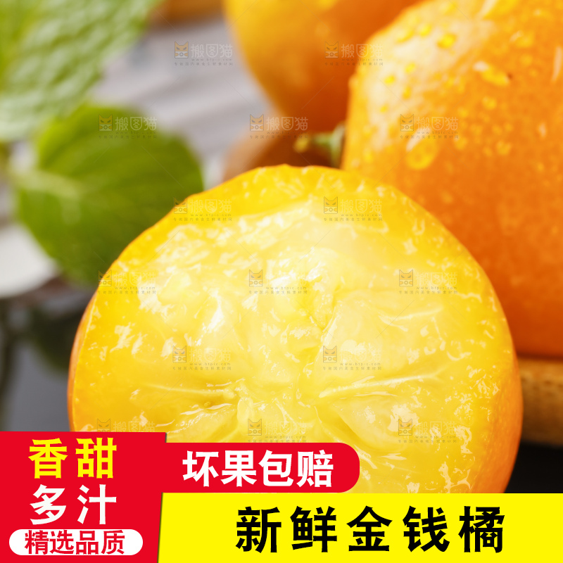 黑石板上的广西金钱橘