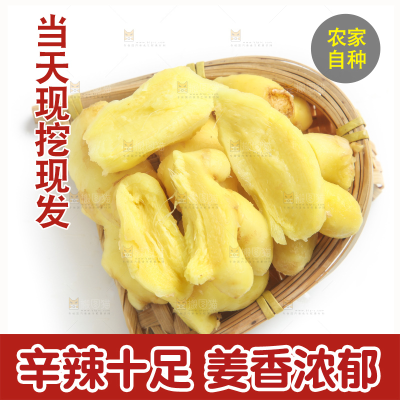 白底上的小黄姜