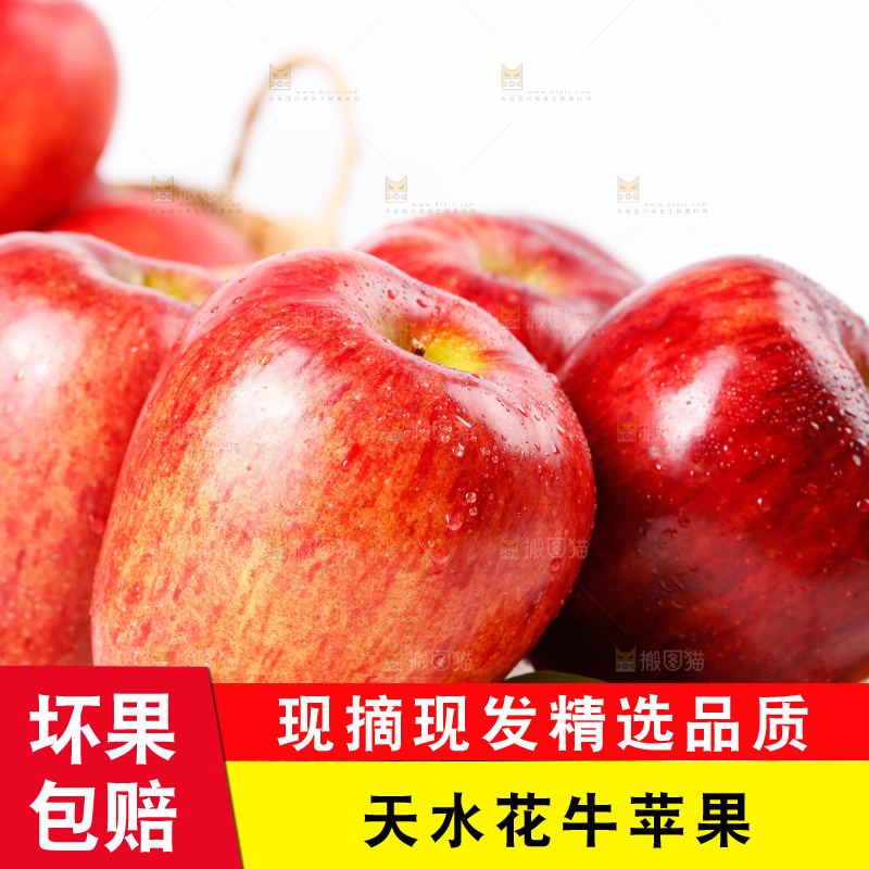 木底上的天水花牛苹果