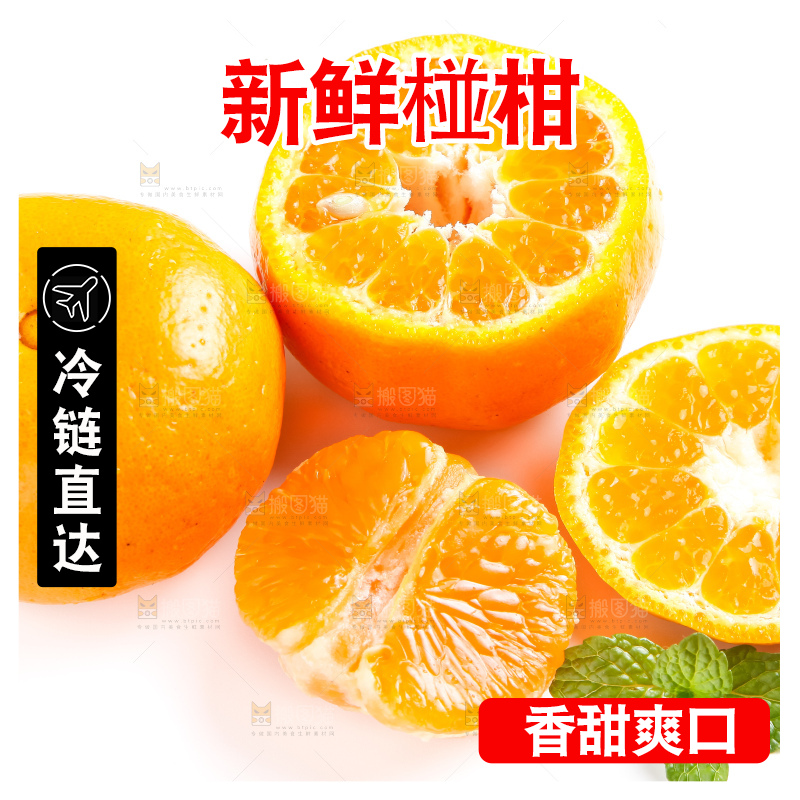 白底上的永春芦柑