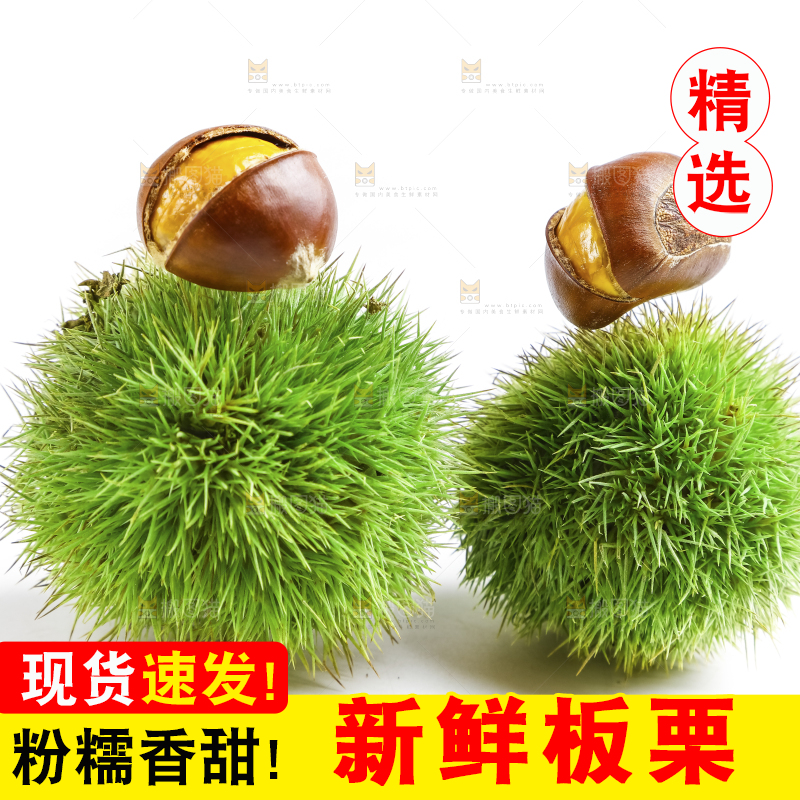 白底上的熟板栗
