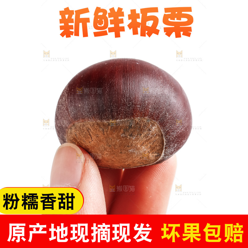 手里拿着新鲜板栗