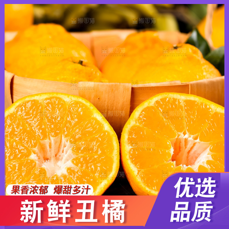 篮子里装着四川丑柑