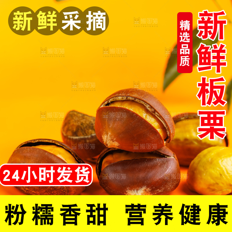黄底上的迁西板栗