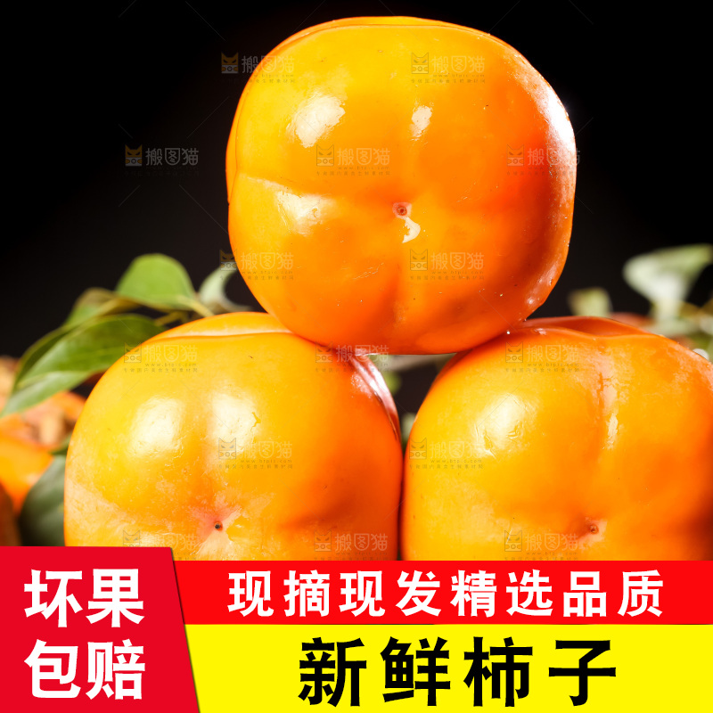 木板上的磨盘柿