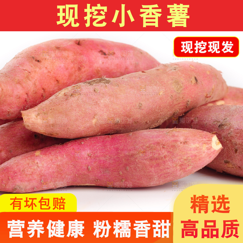 白底上的小蜜薯