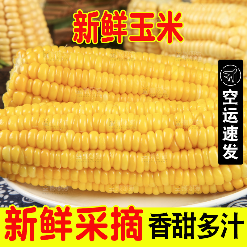 盘子里装着苞米