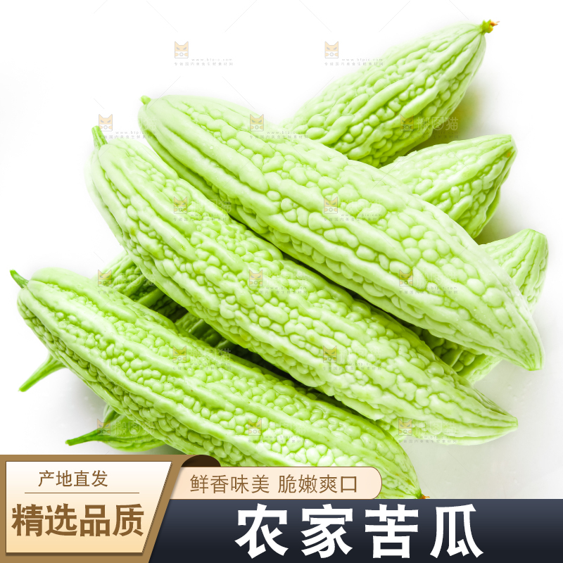 白底上摆放着新鲜苦瓜