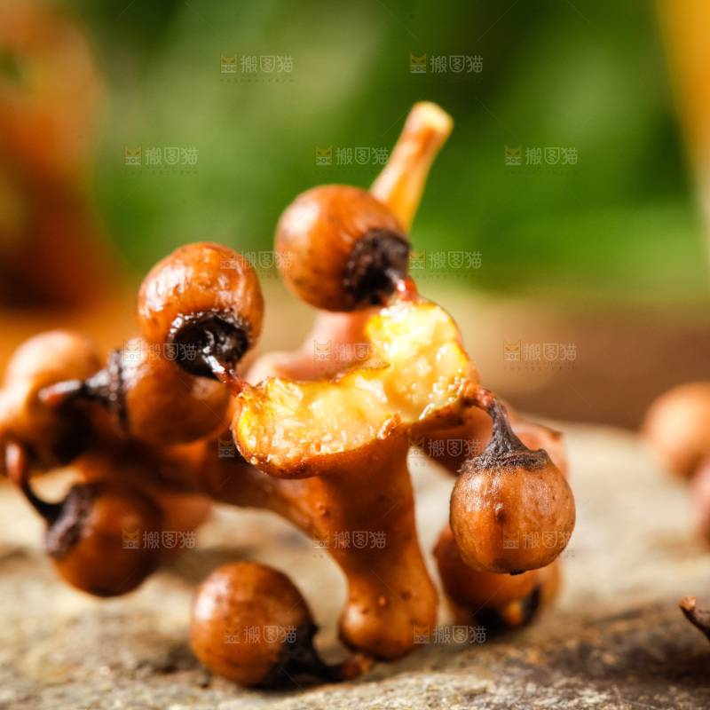 深底上的拐枣果