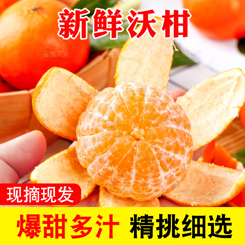 手里拿着新鲜沃柑