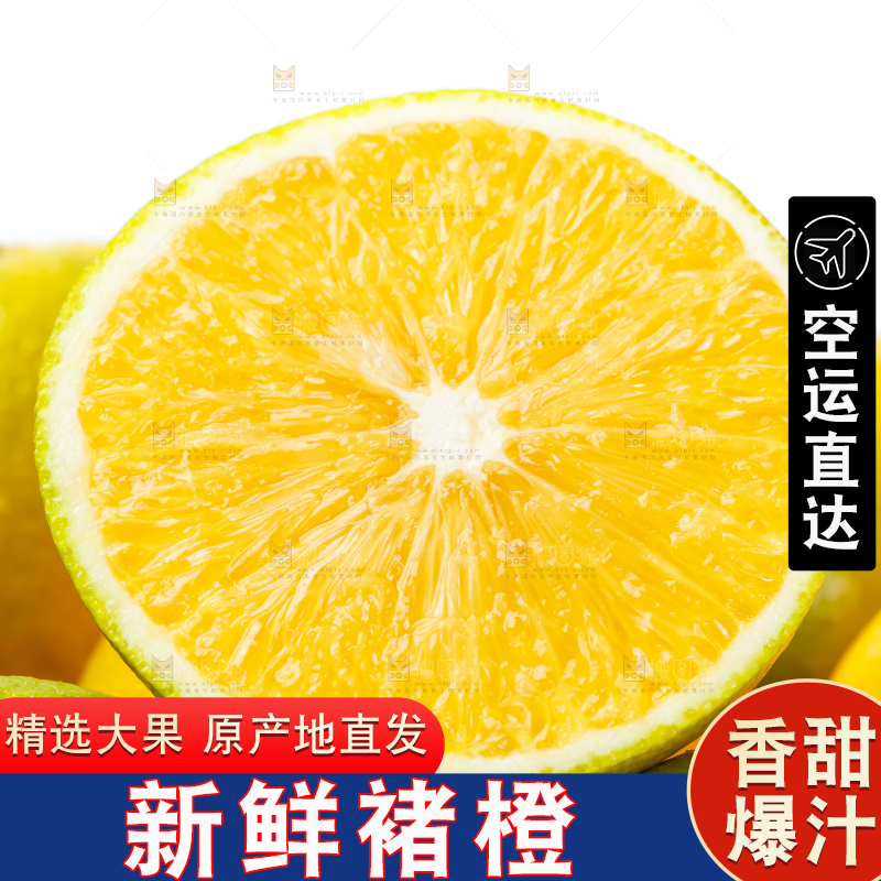 白底上放着蜜橙