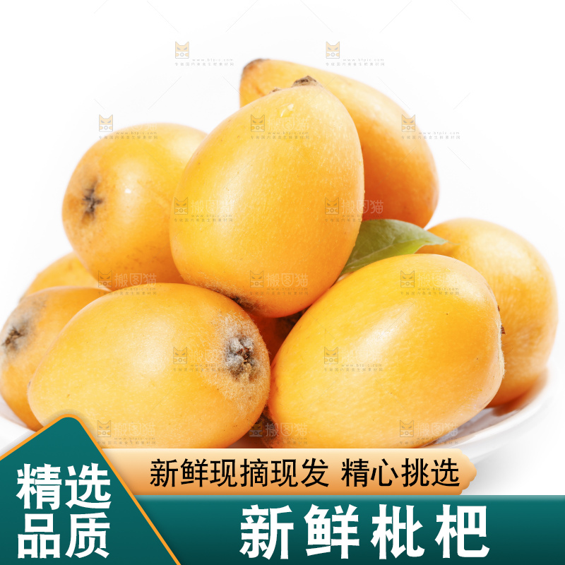 白底上放着攀枝花米易枇杷