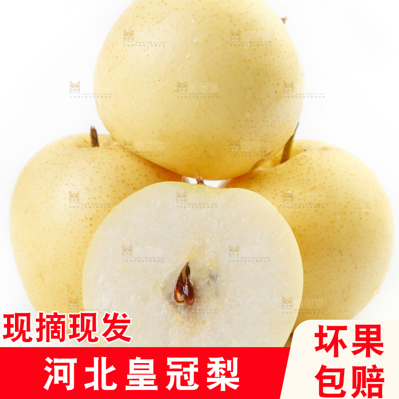 白底上摆放着河北皇冠梨
