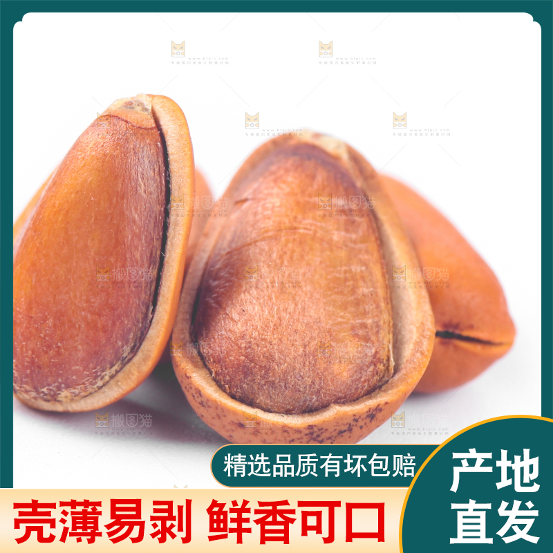 白底上放着东北松子