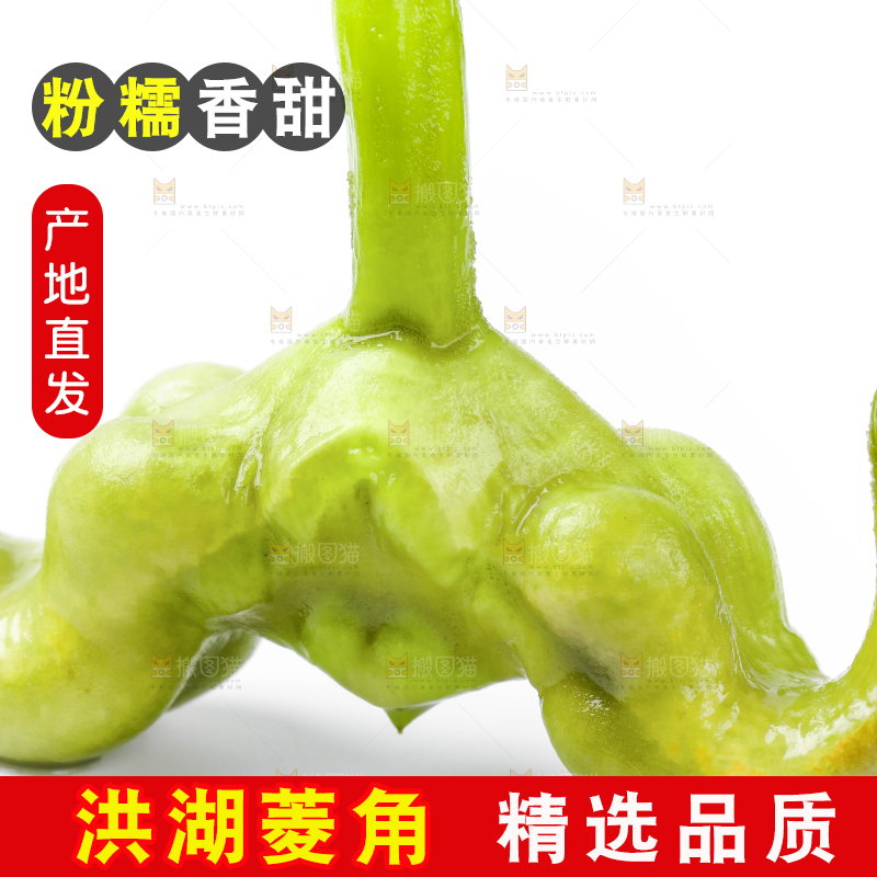 浅底上的新鲜菱角