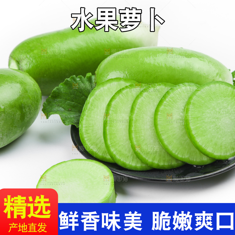 白底上的青萝卜