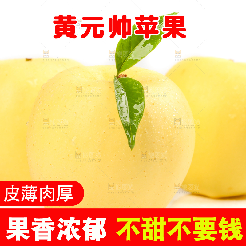 白底上摆放着黄金帅