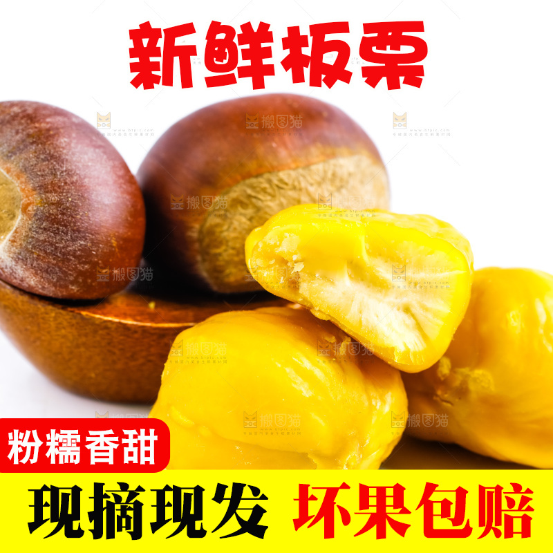 白底上放着毛栗子