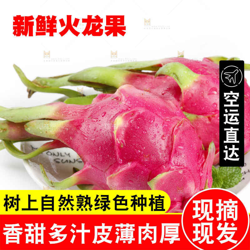 白底上的越南白心火龙果
