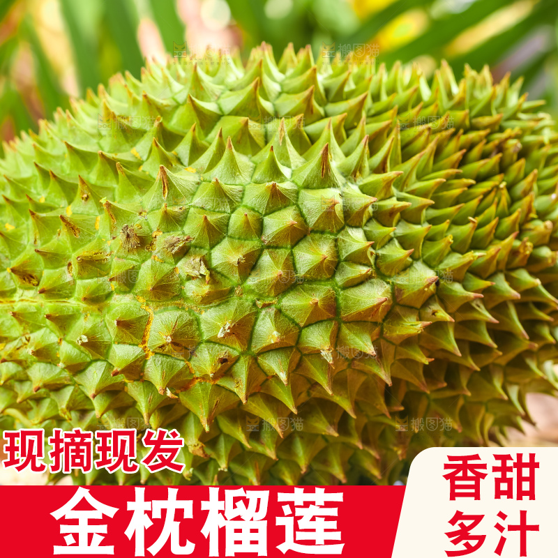 浅底上放着金枕榴莲