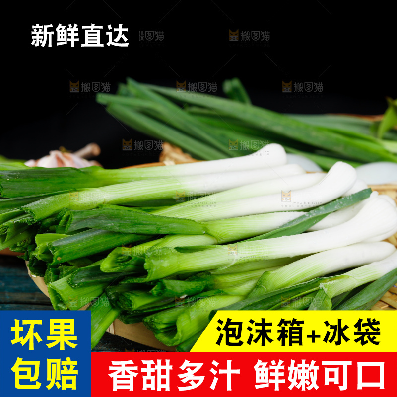 深底上的蒜苗
