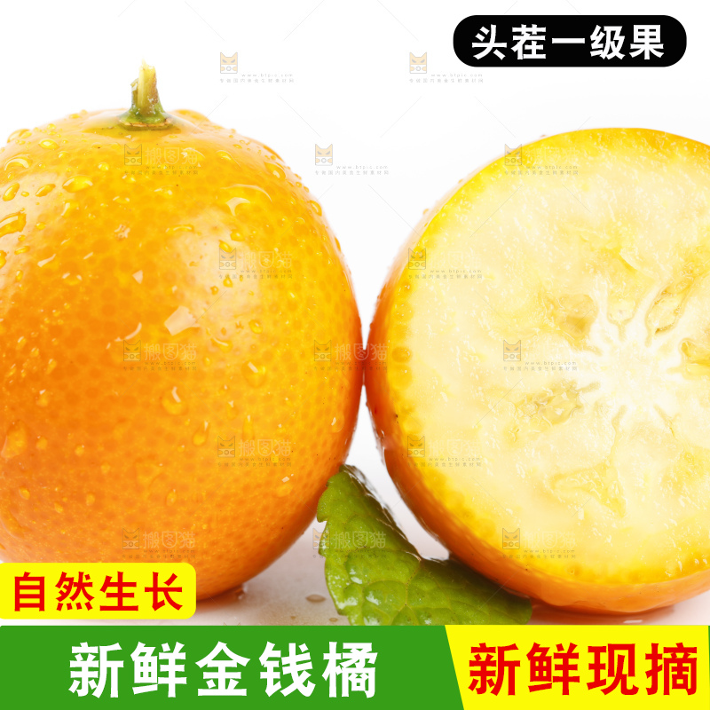 白底上的金桔